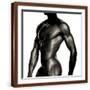 Brown Frame
