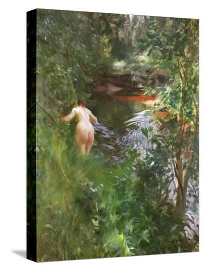 Stretched Canvas Print, , large