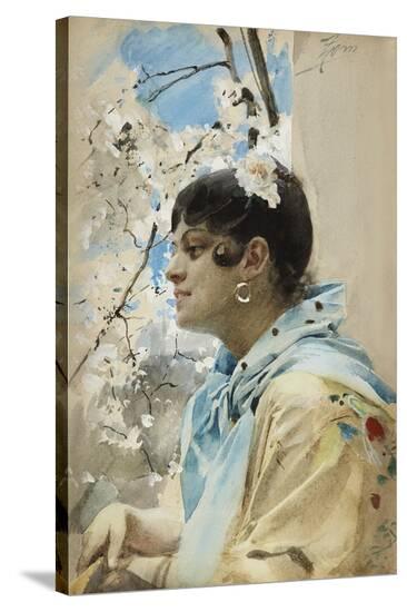 Stretched Canvas Print, , large