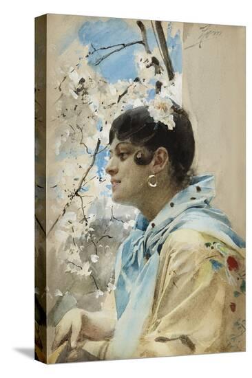 Stretched Canvas Print, , large