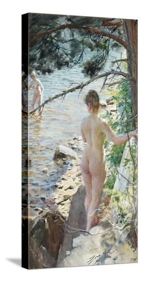 Stretched Canvas Print, , large