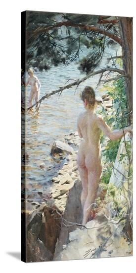 Stretched Canvas Print, , large