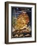 Andersen: Little Mermaid-Jennie Harbour-Framed Giclee Print