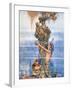 Andersen: Little Mermaid-W. Heath Robinson-Framed Giclee Print