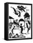 Andersen: Little Mermaid-Arthur Rackham-Framed Stretched Canvas