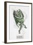 Andersen: Snow Queen-Henry Justice Ford-Framed Giclee Print