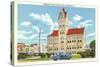 Anderson County Courthouse-null-Stretched Canvas