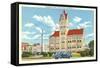 Anderson County Courthouse-null-Framed Stretched Canvas