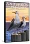 Anderson Island, WA Sea Gulls-Lantern Press-Framed Stretched Canvas