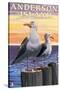 Anderson Island, WA Sea Gulls-Lantern Press-Stretched Canvas