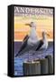 Anderson Island, WA Sea Gulls-Lantern Press-Framed Stretched Canvas