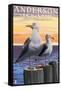 Anderson Island, WA Sea Gulls-Lantern Press-Framed Stretched Canvas
