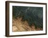 Andes Mountains-Stocktrek Images-Framed Photographic Print