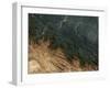 Andes Mountains-Stocktrek Images-Framed Photographic Print