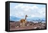 Andes of Central Ecuador-xura-Framed Stretched Canvas