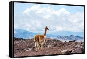 Andes of Central Ecuador-xura-Framed Stretched Canvas