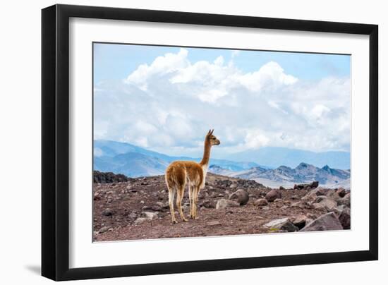 Andes of Central Ecuador-xura-Framed Photographic Print