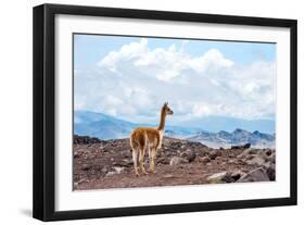 Andes of Central Ecuador-xura-Framed Photographic Print