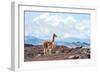 Andes of Central Ecuador-xura-Framed Photographic Print