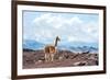 Andes of Central Ecuador-xura-Framed Photographic Print