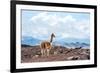 Andes of Central Ecuador-xura-Framed Photographic Print