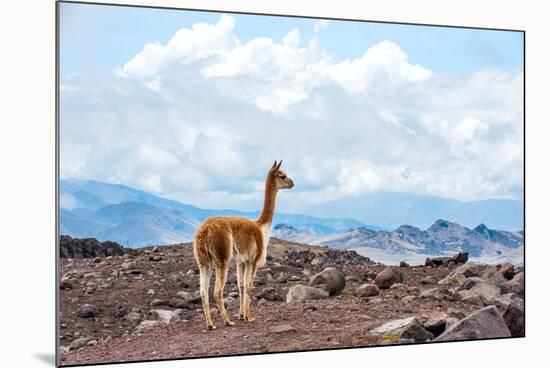 Andes of Central Ecuador-xura-Mounted Photographic Print