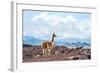 Andes of Central Ecuador-xura-Framed Photographic Print