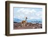 Andes of Central Ecuador-xura-Framed Photographic Print