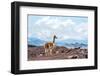 Andes of Central Ecuador-xura-Framed Photographic Print