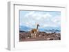 Andes of Central Ecuador-xura-Framed Photographic Print