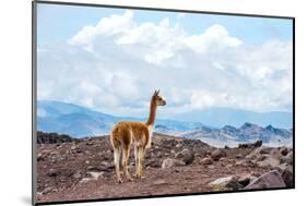 Andes of Central Ecuador-xura-Mounted Photographic Print