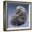 Andesite Statue from Mexico, Depicting the God Quetzalcoatl-null-Framed Giclee Print