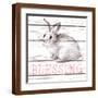Brown Frame