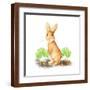Brown Frame
