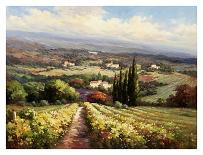 Italian Vineyards-Andino-Framed Art Print