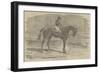 Andover, the Winner of the Derby, 1854-Benjamin Herring-Framed Giclee Print