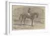 Andover, the Winner of the Derby, 1854-Benjamin Herring-Framed Giclee Print