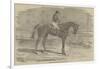 Andover, the Winner of the Derby, 1854-Benjamin Herring-Framed Giclee Print