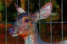 Deer-Andr? Burian-Photographic Print