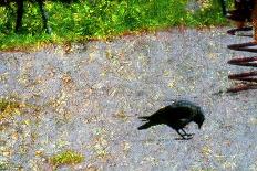 Nature-André Burian-Photographic Print