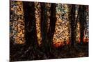 Wood Mount