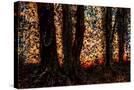 Stretched Canvas
