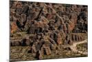 Wood Mount