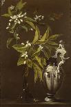 Still Life of Flowers and a Vase-Andrea Belvedere-Framed Stretched Canvas