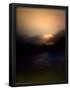 Essential Black