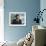 Andrea Bocelli-null-Framed Photo displayed on a wall