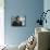 Andrea Bocelli-null-Mounted Photo displayed on a wall