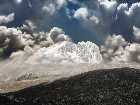 Premium Photographic Print, , large