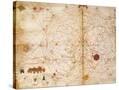 Stretched Canvas