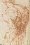 Homme nu, vu à mi-corps, de dos-Andrea del Sarto-Giclee Print
